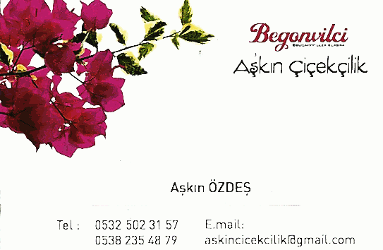 izmir bengovil satışı